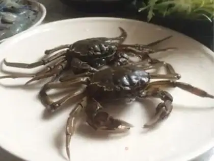Make Crabs step 0