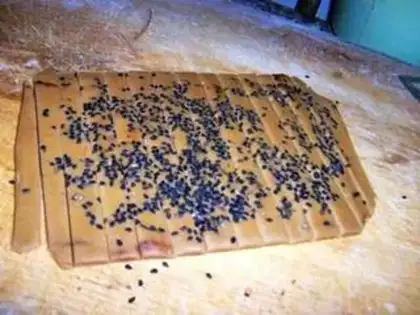 Make step 7
