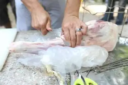 Make A barrel-breaded lamb leg step 2