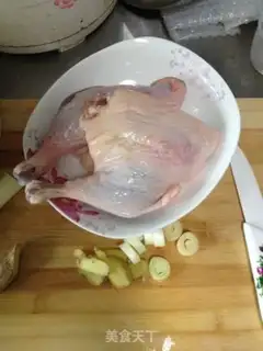 Make Duck step 0