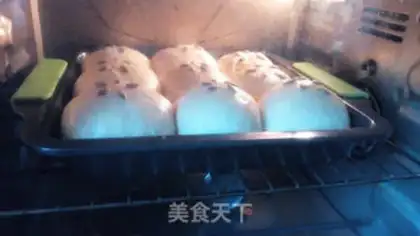 Make Yogurt cheese snack step 10