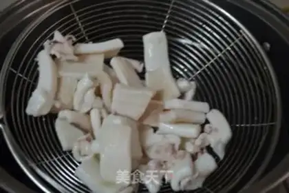 Make Squid step 2