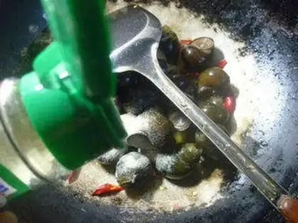 Make The snail step 3