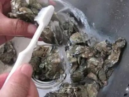 Make Oyster tofu step 0