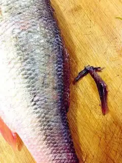 Make Quick evaporation of the bass step 4