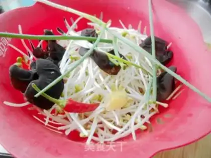 Make Molybean sprouts step 0