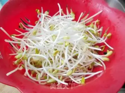 Make Molybean sprouts step 1