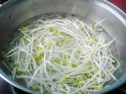 Make Molybean sprouts step 2