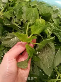 Make Wild green pie step 0