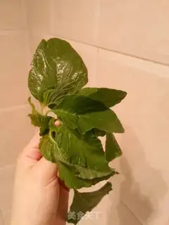 Make Wild green pie step 1