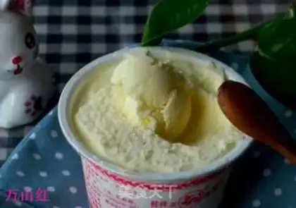 Make Yogurt ice cream step 9