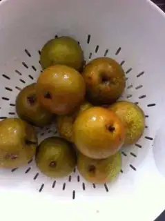 Make Honeyapple cream step 0