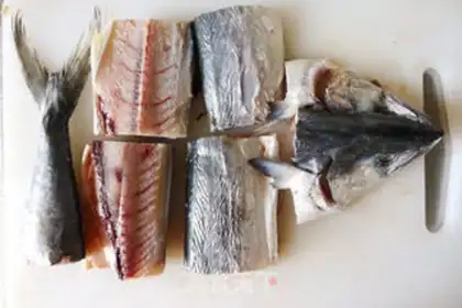 Make Burn the fish step 0