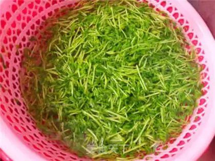 Make Ginger pea seed step 0