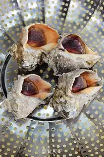 Make Temperature conch step 1