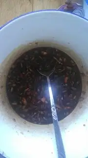Make Honey sauce and roast meat step 1