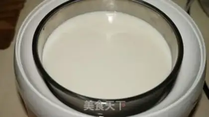 Make Homemade yogurt step 6