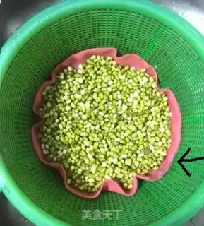 Make Auto green bean sprouts step 2