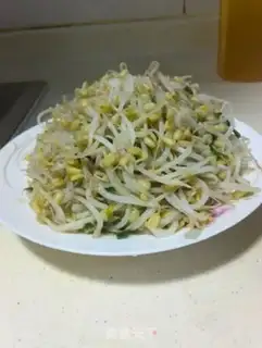 Make Auto green bean sprouts step 8