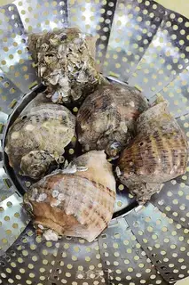 Make Sliced snails step 1