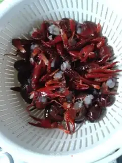 Make Fried lobster step 1