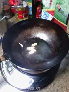 Make Squid