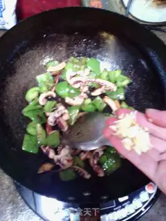 Make Squid