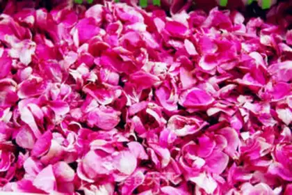 Make Rose sauce step 1