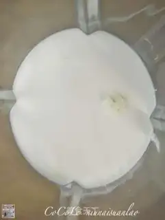 Make Milk yogurt step 1