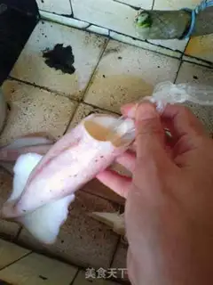 Make Clear the squid step 1