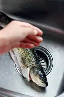 Make Ten minutes for red fish step 0