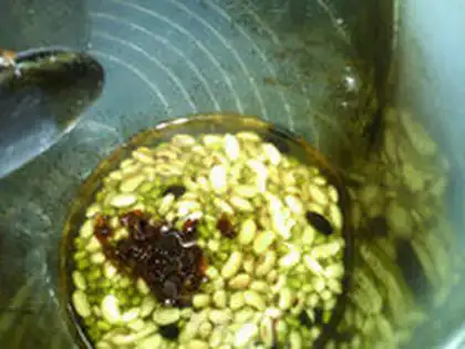 Make Rose green beans step 4