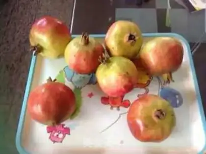 Make Pink crystal pomegranate juice step 0