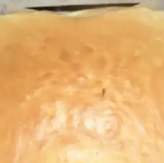 Make Blueberry roll step 8