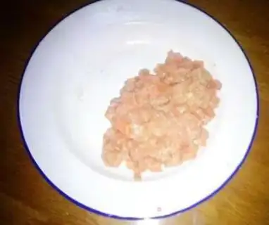 Make Meat powder step 1