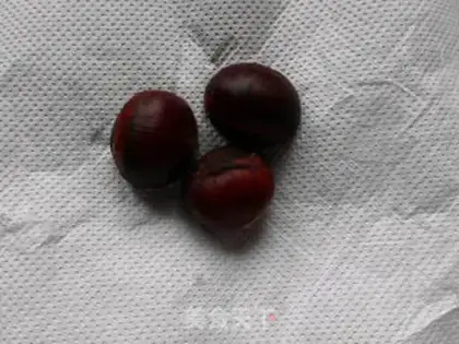 Make Chestnut step 2