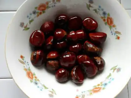 Make Chestnut step 5