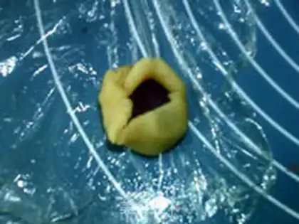 Make A milk-free violet moon cake step 9