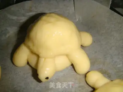 Make Lian Yong Tortoise step 10