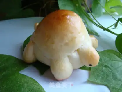 Make Lian Yong Tortoise step 11