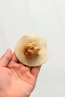 Make Shrimp pork dumplings step 5