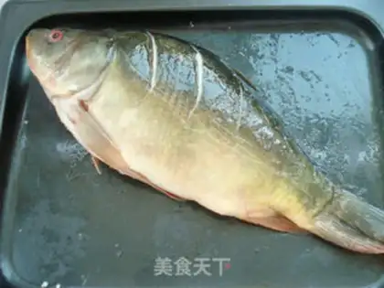 Make Red fish step 0