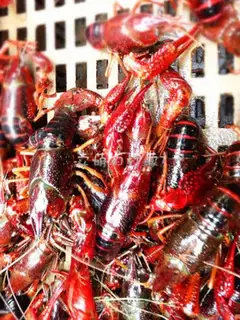 Make Spicy, spicy lobster step 0