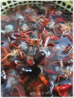Make Spicy, spicy lobster step 1