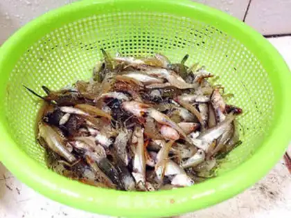Make Dry spicy fish step 5