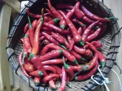 Make Pepper step 0