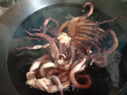 Make Squidfish step 1