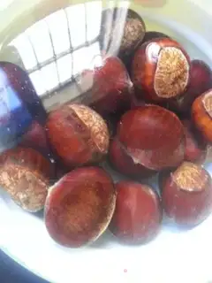 Make Plum chestnuts step 1
