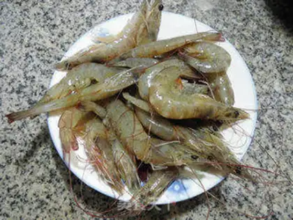 Make The red shrimp step 0