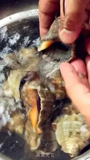 Make Ginger conch step 0